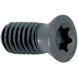 Náhradní šroubek pro držák ISO destiček M4x10 T15 • Vtools.cz