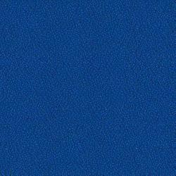 Víceúčelová židle 250 kg modrá, práškově lakovaná • Vtools.cz