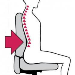 Dámská židle s diskem Professional sw/w • Vtools.cz