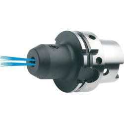 Držák Weldon s vnitřím chlazením D69893A HSK-A 63- 8x 65 mm • Vtools.cz