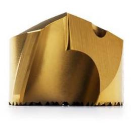 SD100-19.80-M Vrtací korunky pro vrták Crownloc • Vtools.cz