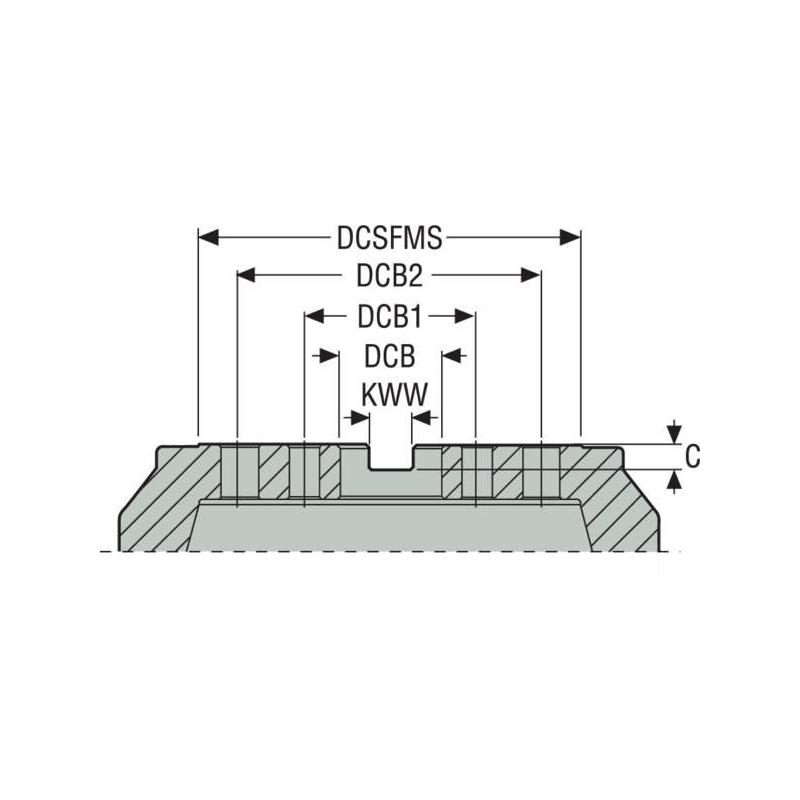 R220.53-8315AL-09-22CA Fréza (těleso) Quattromill pro čelní frézování  • Vtools.cz