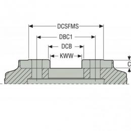 R220.21-8160-ON09-10 Fréza (těleso) kopírovací • Vtools.cz