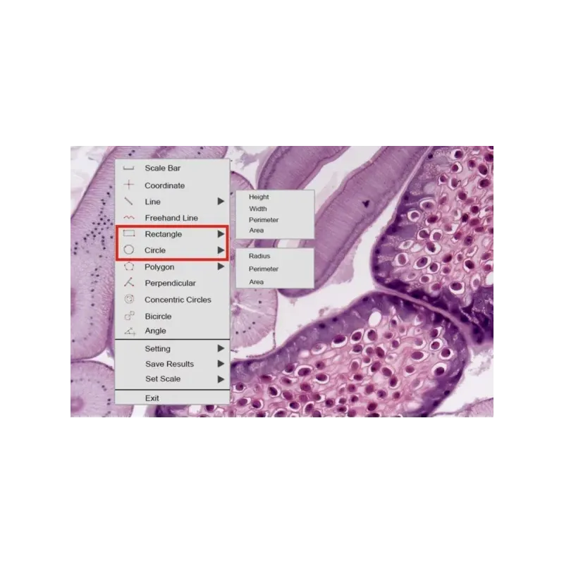 Sada HDMI USB kamery pro mikroskopy TM