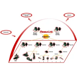 (R)ML SITE LICENSE V10 UPGRADE, 30 LIC