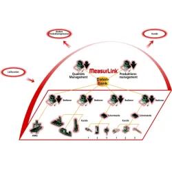 (R)ML SITE LICENSE V10 UPGRADE, 30 LIC