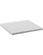 Brusné houby - houbičky